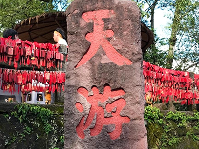 踏青山聚同心，必源環(huán)保武夷山團(tuán)建之旅圓滿收官！
